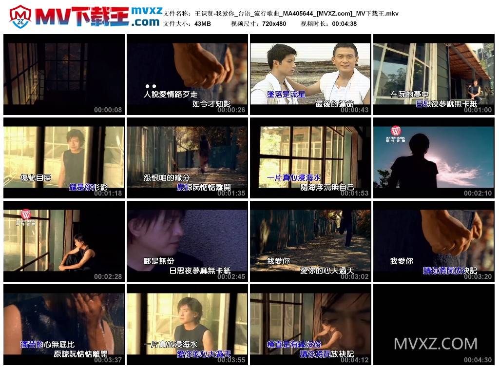 王识贤-我爱你_台语_流行歌曲_MA405644